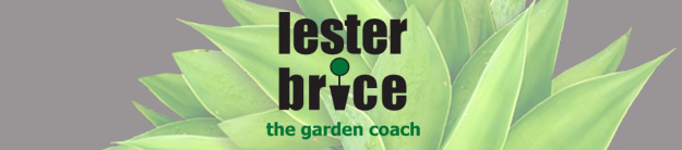 Lester Brice